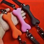 Bâillon-os-de-chien