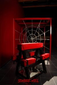 Chambre des Plaisirs Secrets - 3