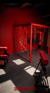 Chambre des Plaisirs Secrets - 9