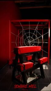 Chambre des Plaisirs Secrets - 12